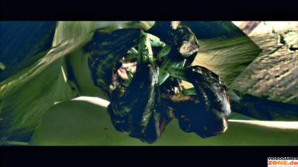 Resident Evil 5 Komplettlösung - Tipps und Tricks zum Action-Horror
(8)