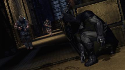 Batman: Arkham Asylum (11)