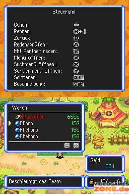 Pokémon Mystery Dungeon: Erkundungsteam Himmel (DS) (9)