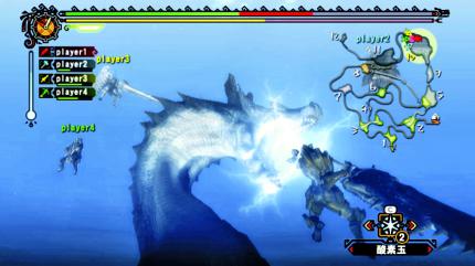 Screenshots aus Monster Hunter Tri für Wii (5)