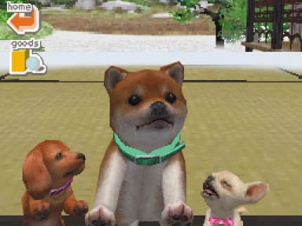 Nintendogs and Cats für Nintendo 3DS - Die beliebte Casual-Serie auch für 3DS