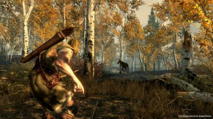 Die Spielwelt von The Elder Scrolls 5: Skyrim reicht von eisigen Berg-Gebieten bis hin zu dichtbewachsenen Wäldern.