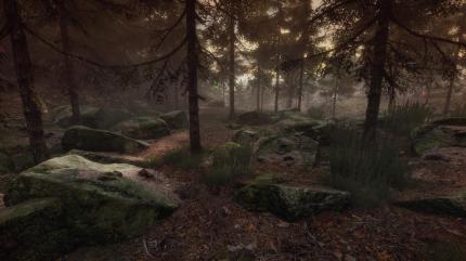 Grafisch ist The Vanishing of Ethan Carter über jeden Zweifel erhaben.