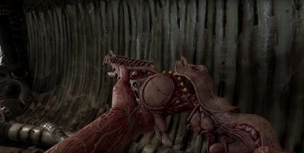 Scorn