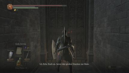 Dialog mit einem NPC hinter verschlossenen Türen.