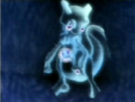 Neben den Taschenmonstern solltet ihr auch die Handvoll Pokémon-Sternbilder fotografieren.