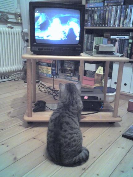 Röhrenfernseher werden heute nicht mehr hergestellt. Auf dem Gebrauchtmarkt kann man noch Glück haben, aber auch dort werden sie rar.&nbsp;