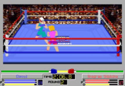 Mit wirklichem 4D hat 4D Boxing nichts zu tun.