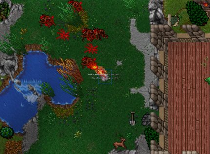 Mein erstes Mal Tibia - Eine MMO-Entjungerfung (6)