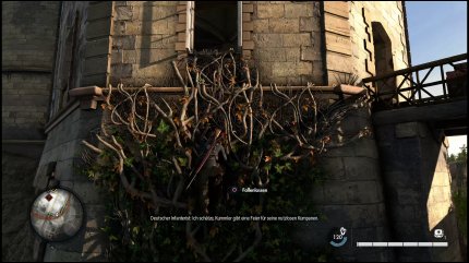 An Wurzeln können wir nun klettern, um noch heimlicher in Gebäude oder Ruinen zu kommen. Ein Gameplay-Changer ist das jedoch nicht.