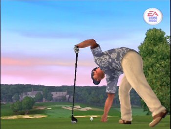 Tiger Woods 2004