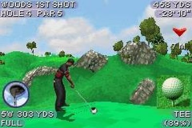 Tiger Woods PGA Tour 2004