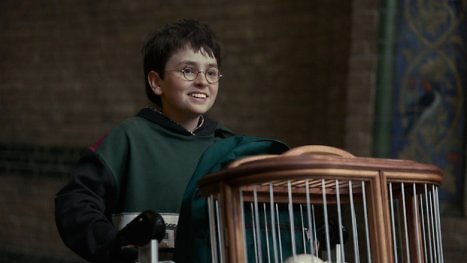 Diebstahl am Harry-Potter-Set: HBO greift jetzt durch