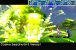 Die Psynergy entfacht auf dem GBA ein wahres Feuerwerk.