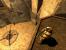 The Chronicles of Riddick: Escape from Butcher Bay: Komplettlösung (3)