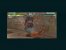 Die Blazin Movessind abgefahren und tun beim Zusehen weh. 
BILD: PLAYZONE