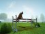 My Horse and Me - Achtung: Artworks, keine DS-Screenshots