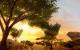 Far Cry 2 - Ubisoft