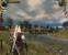 <strong>Platz 9: The Witcher</strong> sollte ursprünglich einen Konsolen-Ableger erhalten. 0,5 Prozent möchten diesen noch immer.