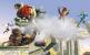 Super Smash Bros. Brawl - Wii