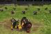 Blood Bowl - Das Spiel sürzt ständig ab. Müssen wir noch mehr sagen? Nein! Auf dem PC macht das Spiel durchaus Spaß weil es die notwendige Bedingung erfüllt: Es läuft.