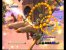 NiGHTS: Journey of Dreams, Plattform: Wii, Genre: Geschicklichkeit