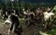 15. Left 4 Dead (Classic)