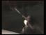 Kurz vor eurem Bildschirmtod verliert das Bild alle Farbe. Hier war's das also gleich. (Alone in the Dark, Wii)