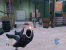 Max Payne 2