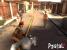 Postal 2