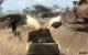Far Cry 2: Das sagt LOX-TT zu dem Open-World-Kracher. (6)