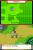 Pokémon Ranger 2 - Nintendo DS (8)