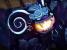 Spectrobes: Jenseits der Portale - Nintendo DS (BILD: N-ZONE) (5)