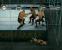 HÖLLE IN DER ZELLE Ein großer Käfig schützt die WWE-Konkurrenten im Hell in a Cell-Match vor Angriffen von außen. (BILD: N-ZONE)