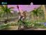 Starfox Adventure - GameCube