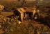 Tropico 3 - Xbox 360 (9)