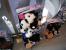 Nintendo World Store - Rockfeller Center (NY) (33)