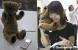 Ein Teddybär, umkonstruiert zu einem Telefon. Süß!