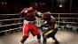 Fight Night Round 4 (14)