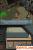 Screenshots aus GTA: Chinatown Wars für DS (10)