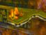 Banjo-Tooie - Bilder des N64-Klassikers (28)
