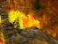 Banjo-Tooie - Bilder des N64-Klassikers (29)