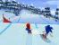 4. Mario & Sonic bei den Olympischen Winterspielen
