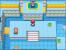 Pokémon Platin-Edition (12)