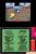 Pokémon Platin-Edition (12)