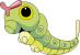 010 Raupy