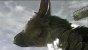 The Last Guardian - Noch immer kein Termin