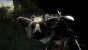 The Last Guardian - Seit der TGS 2010 haben wir kein Bildmaterial mehr zu Gesicht bekommen. (2)