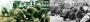 Identische Szene: Links seht ihr einen sogenannten Target-Screenshot zu Operation Flashpoint 2 (Dragon Rising), rechts das Original-Foto, das höchstwahrscheinlich aus dem Vietnamkrieg stammt.