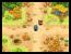 Pokémon Mystery Dungeon: Erkundungsteam Himmel (DS) (4)